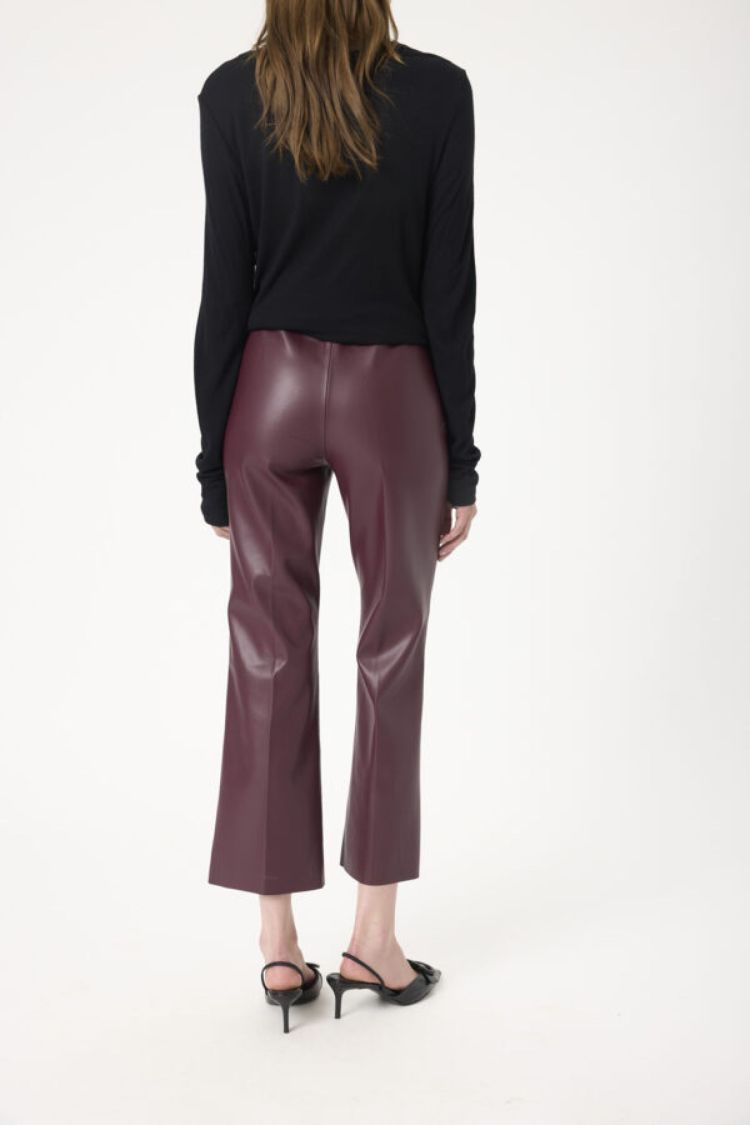 Soaked In Luxury 17932 Flare Bordeaux