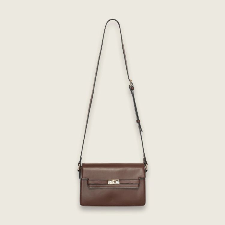 Bulaggi 18909  Bruin