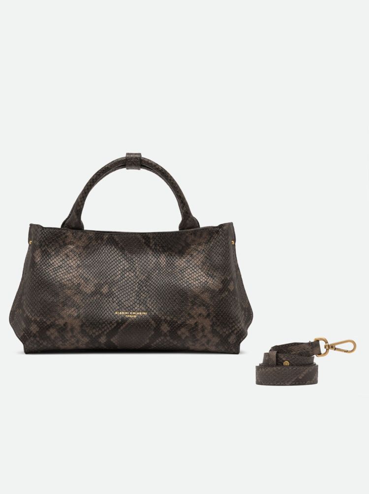 Gianni Chiarini 20041  Bruin