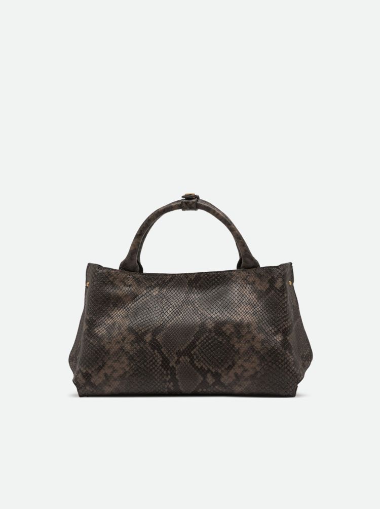 Gianni Chiarini 20041  Bruin
