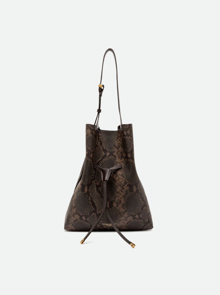 Gianni Chiarini 20071  Bruin