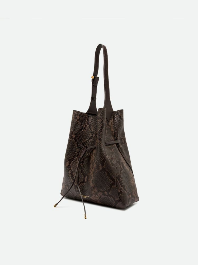 Gianni Chiarini 20071  Bruin