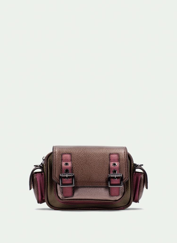 Hispanitas 17332  Bruin