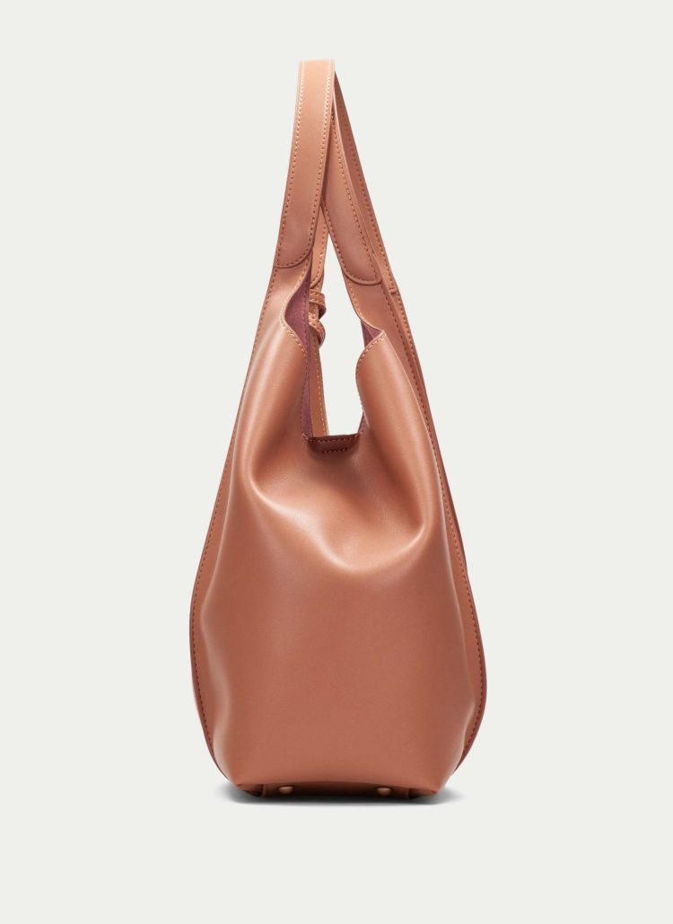 Hispanitas 18834  Camel