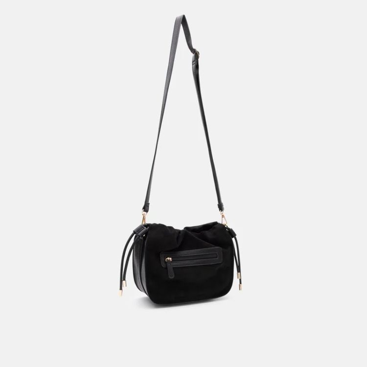 L.credi 17743  Zwart