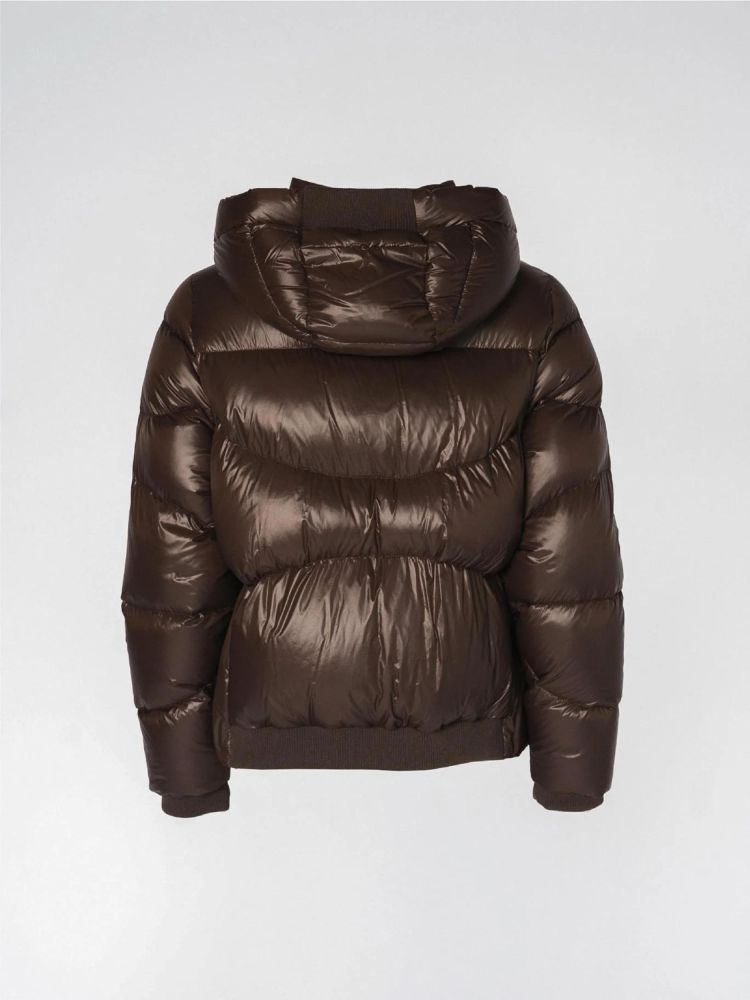 Dou Doun 19395  Bruin