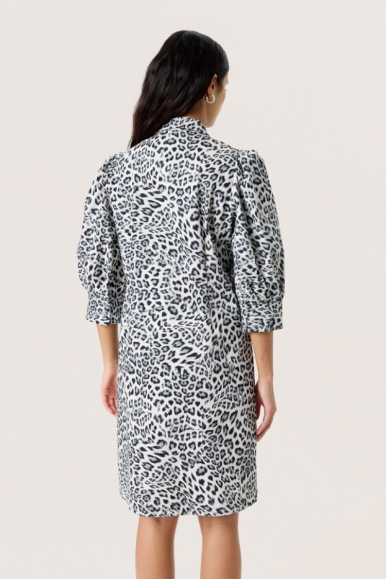 Soaked In Luxury 17485  Leopard