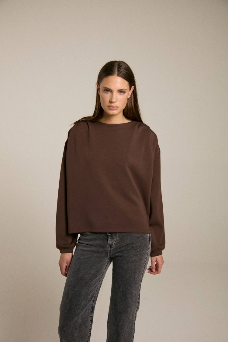 Homage  H-CW25M06 Bruin