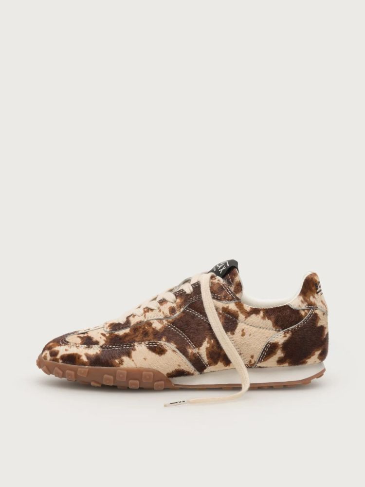 Boax Studio 17115  Bruin