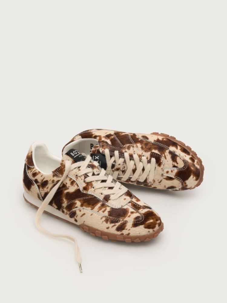 Boax Studio 17115  Bruin