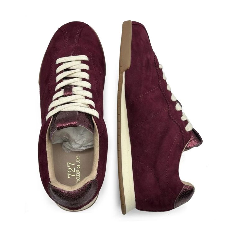 Cycleur De Luxe 17169  Bordeaux