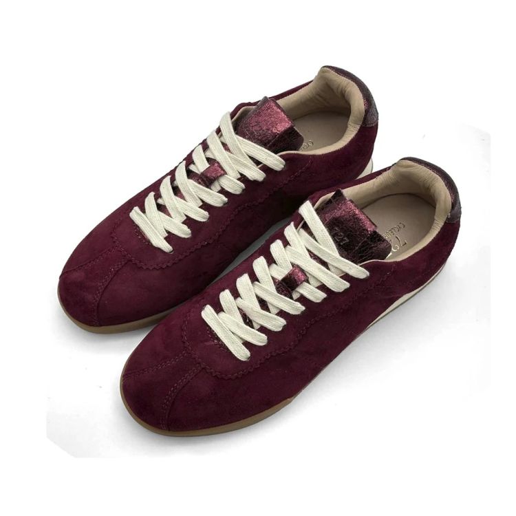 Cycleur De Luxe 17169  Bordeaux