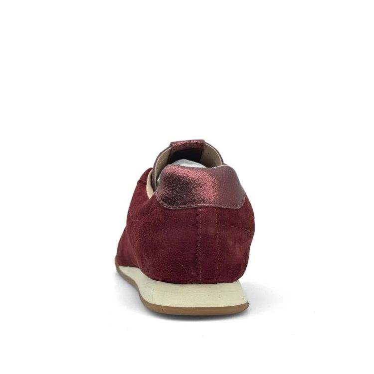 Cycleur De Luxe 17169  Bordeaux