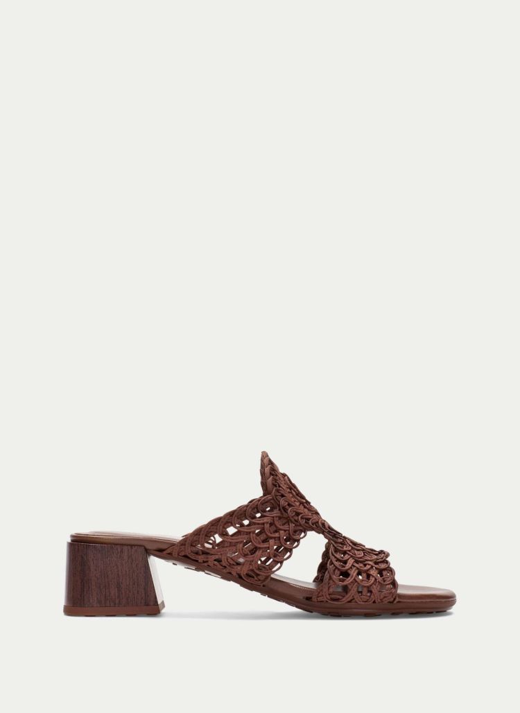 Hispanitas 18827 Bruin