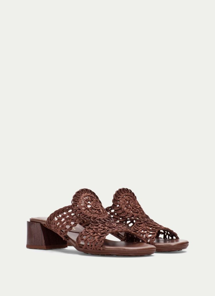 Hispanitas 18827 Bruin