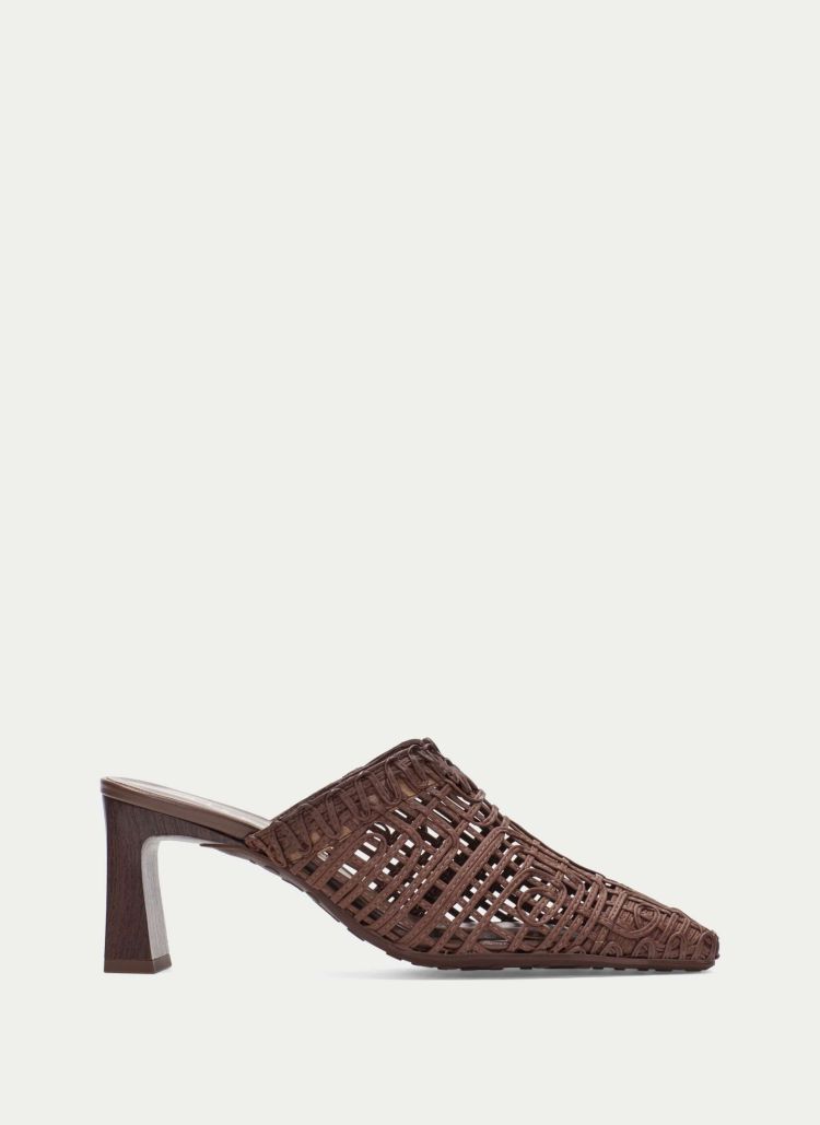 Hispanitas  HV264789 Bruin