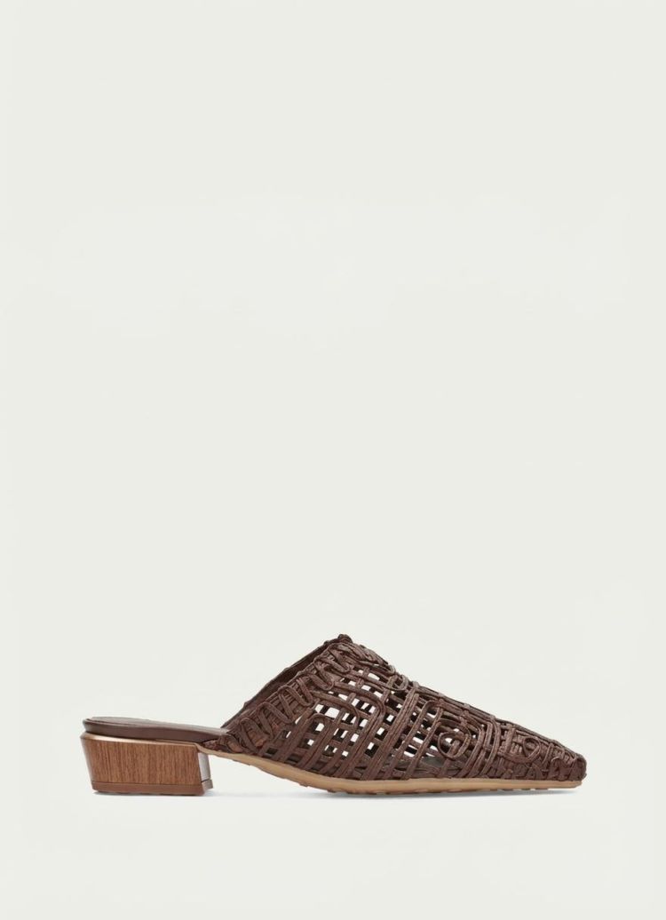 Hispanitas  HV264790 Bruin