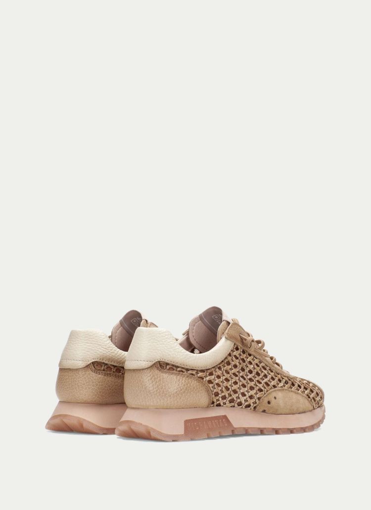 Hispanitas 18957  Camel