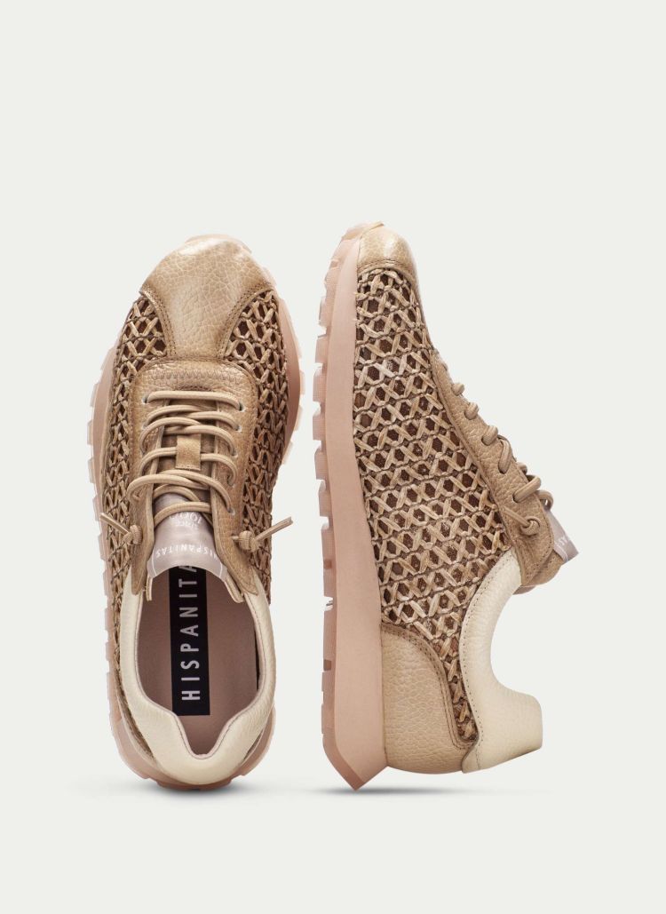 Hispanitas 18957  Camel