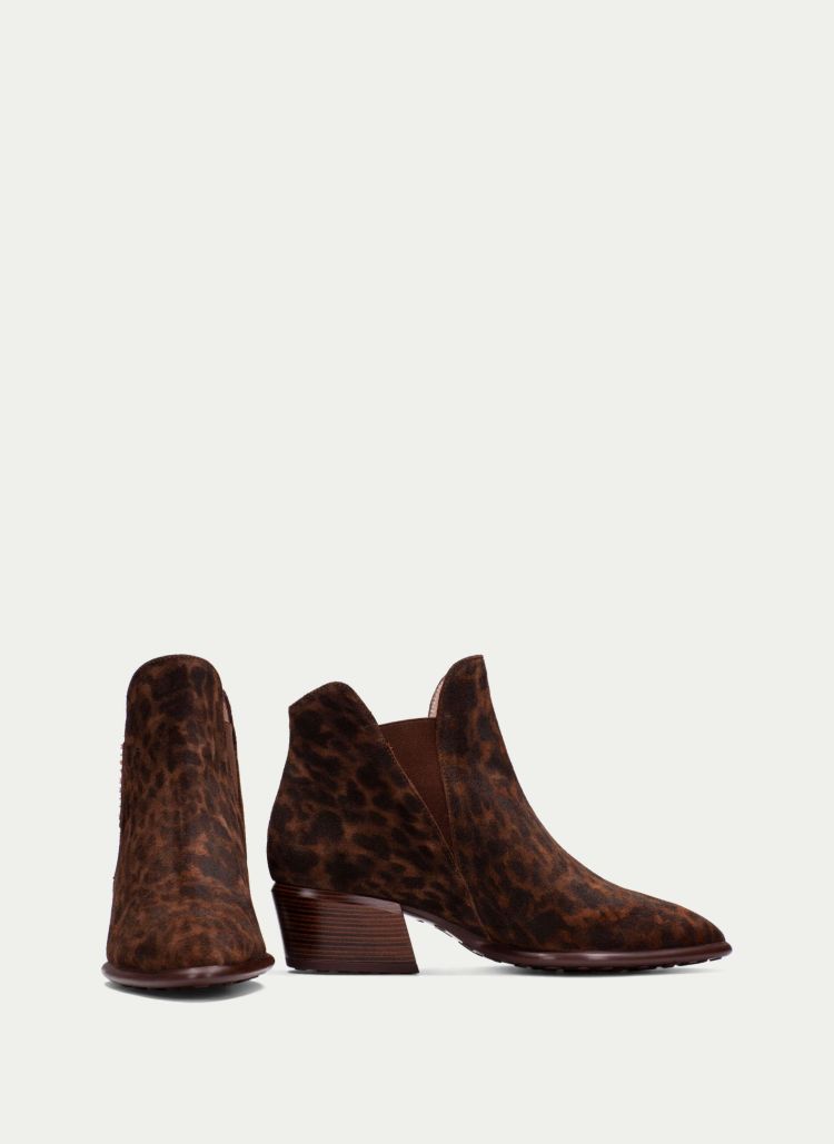 Hispanitas 17314  Leopard