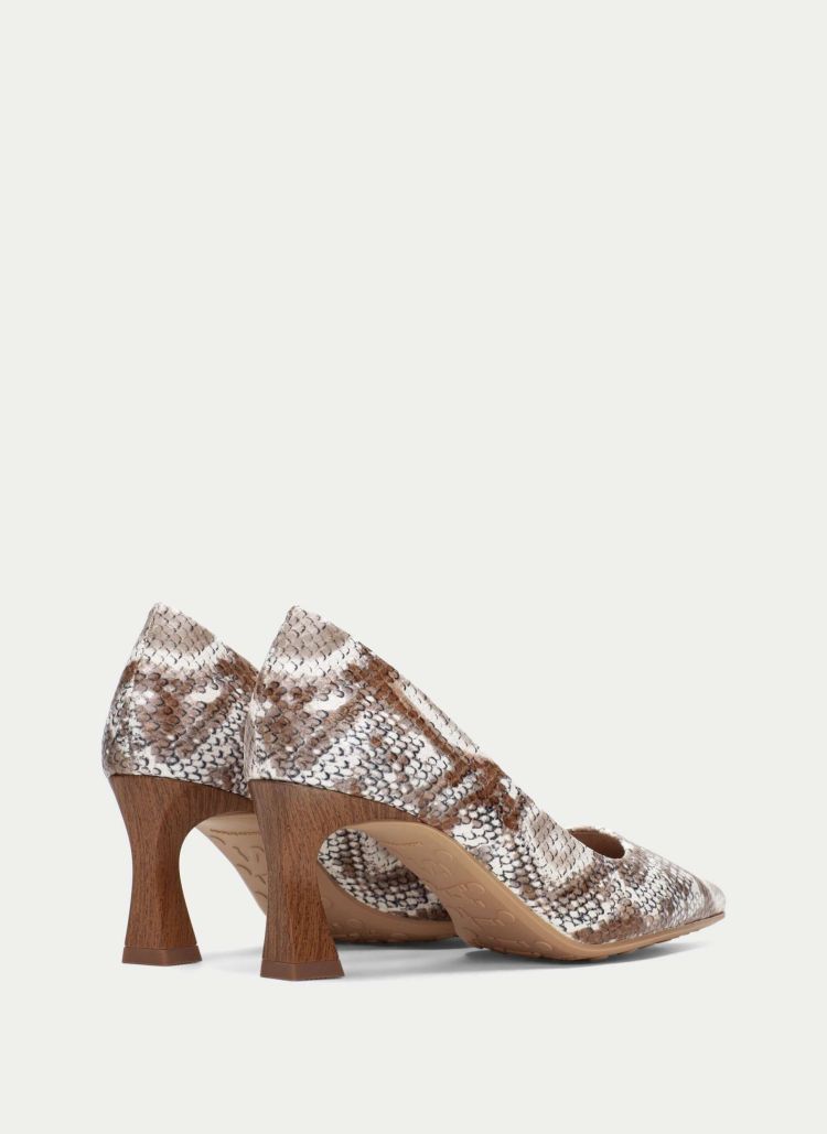 Hispanitas 18819  Snake