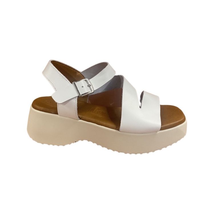Oh My! Sandals  5196 Wit