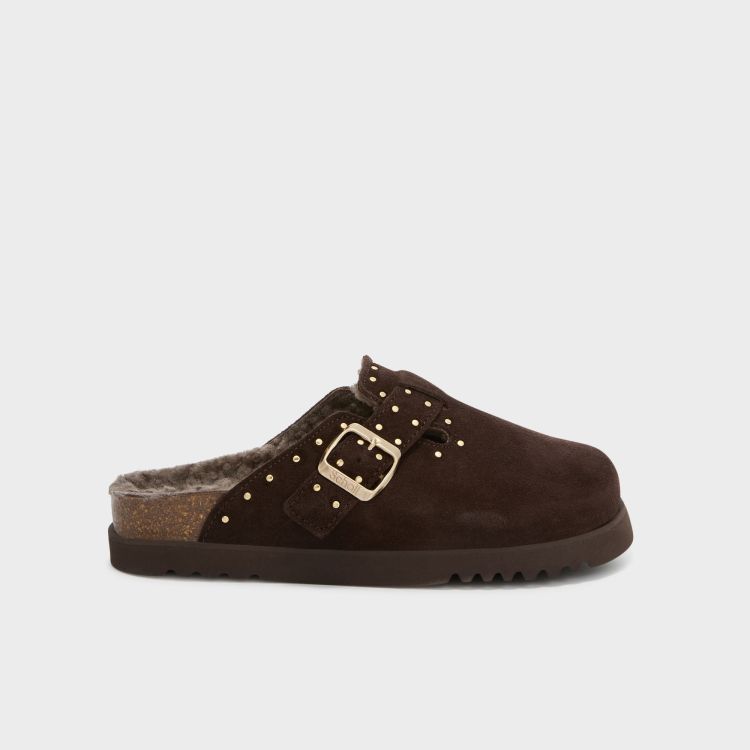 Scholl 20587  Bruin