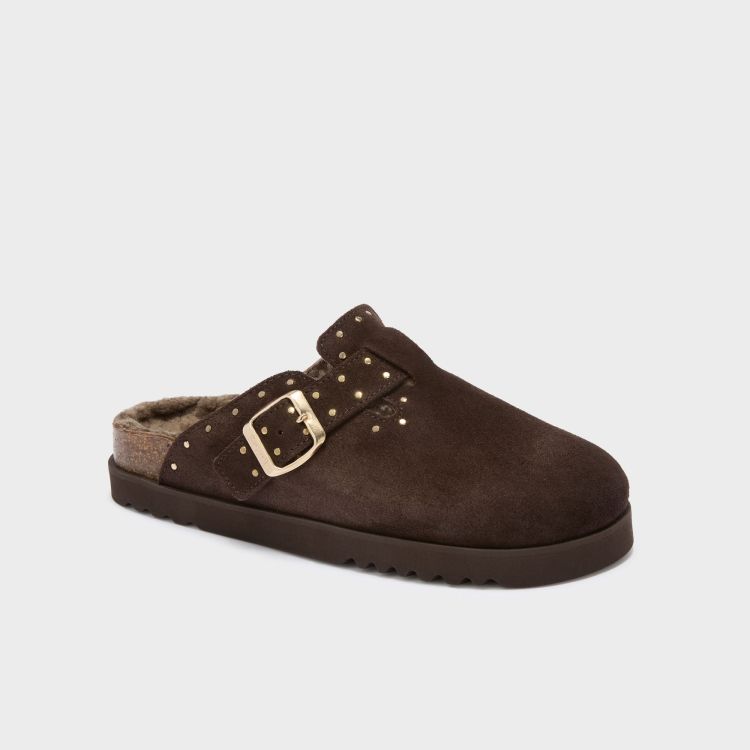Scholl 20587  Bruin