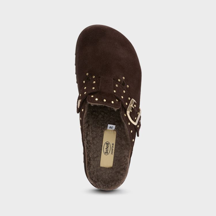 Scholl 20587  Bruin