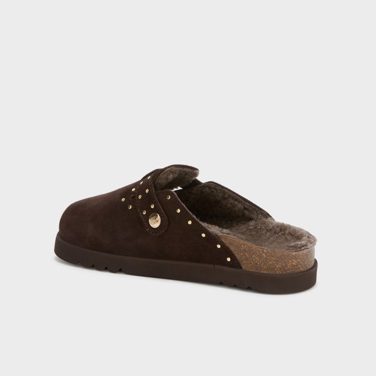 Scholl 20587  Bruin