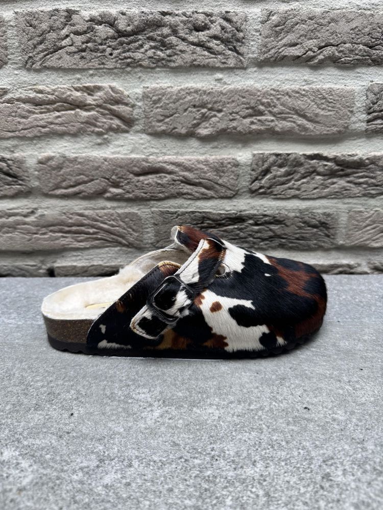 Scholl  CLOGS FAE NEW Bruin