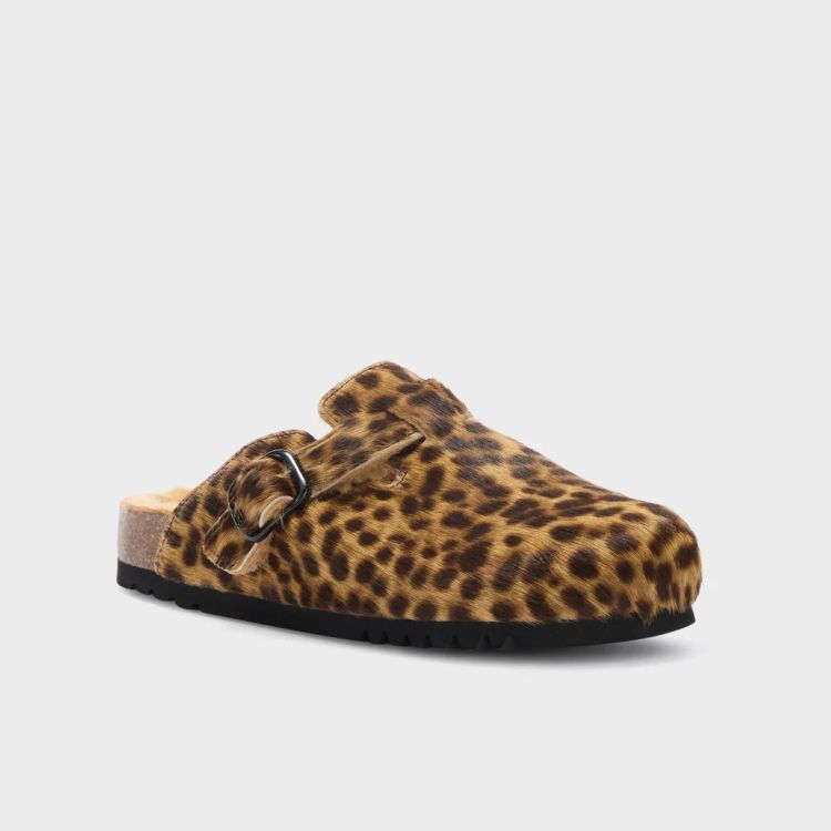 Scholl 17789  Leopard