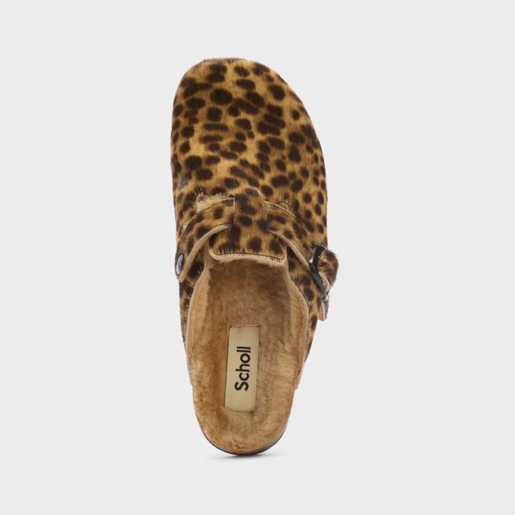 Scholl 17789  Leopard