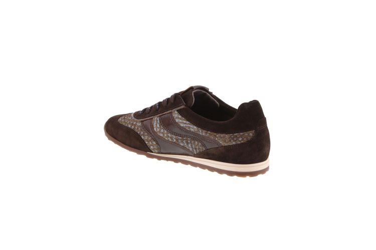 Softwaves 20376  Bruin