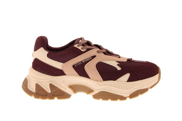 Steve Madden 20402  Bordeaux