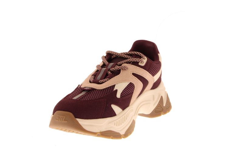 Steve Madden 20402  Bordeaux