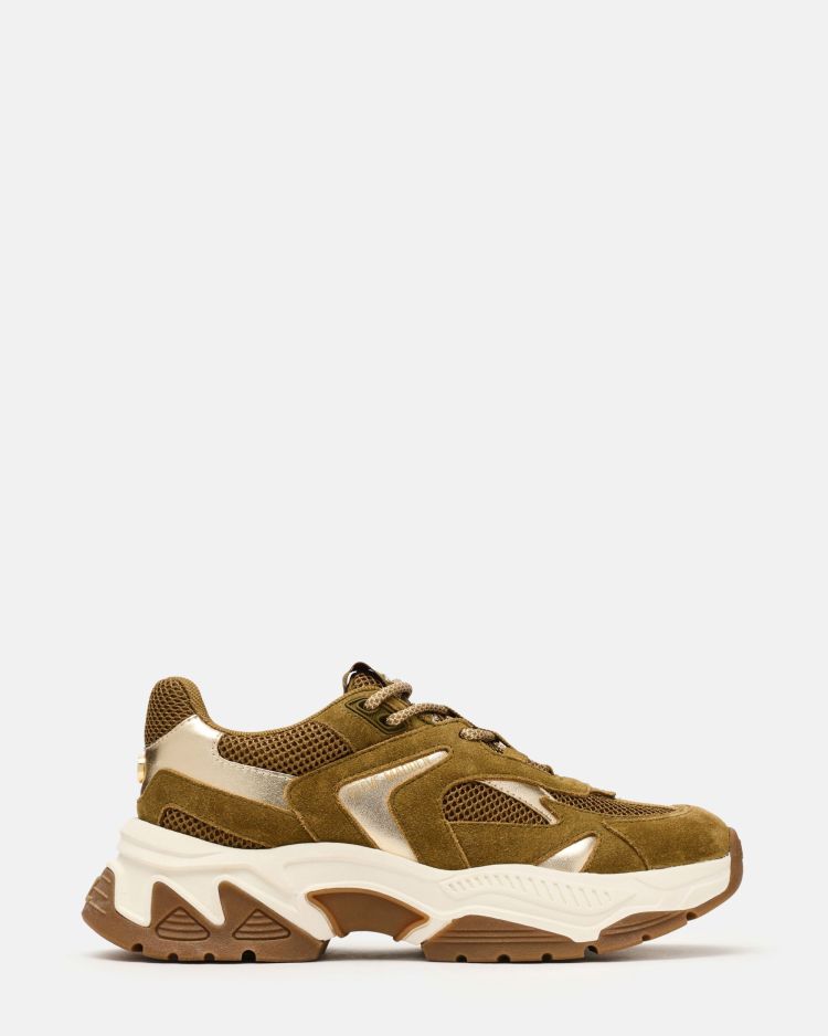 Steve Madden  AMPLE Kaki