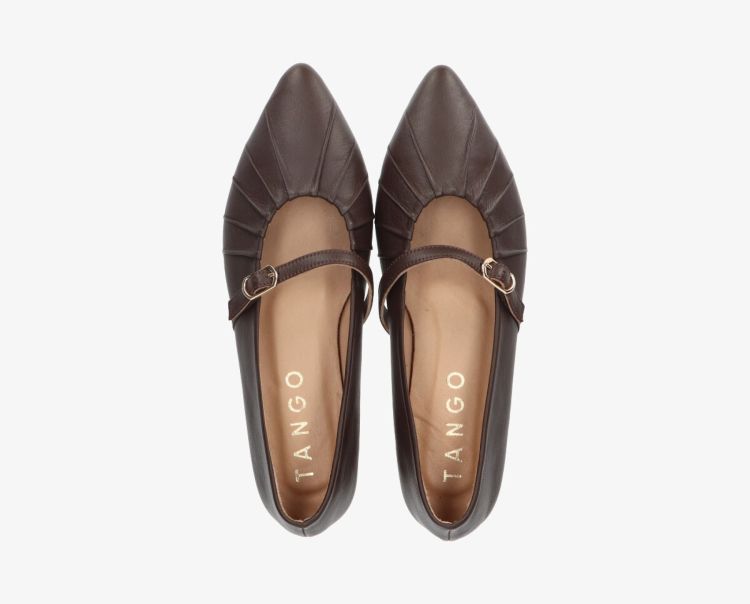 Tango 19338  Bruin