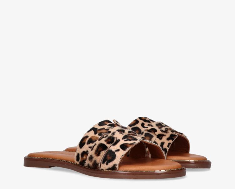 Tango 19290  Leopard