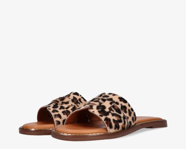 Tango 19290  Leopard