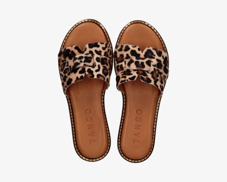 Tango 19290  Leopard