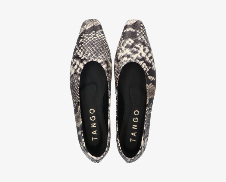 Tango 16574  Multi Color