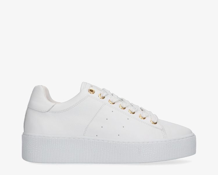 Tango  CHANTAL 12-CA Wit