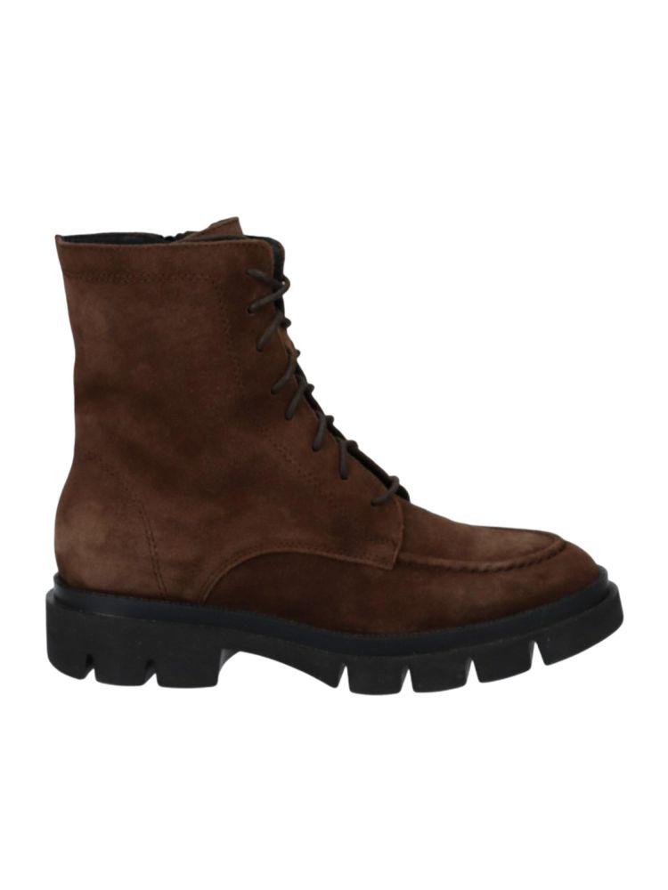 Viguera  8416 Bruin