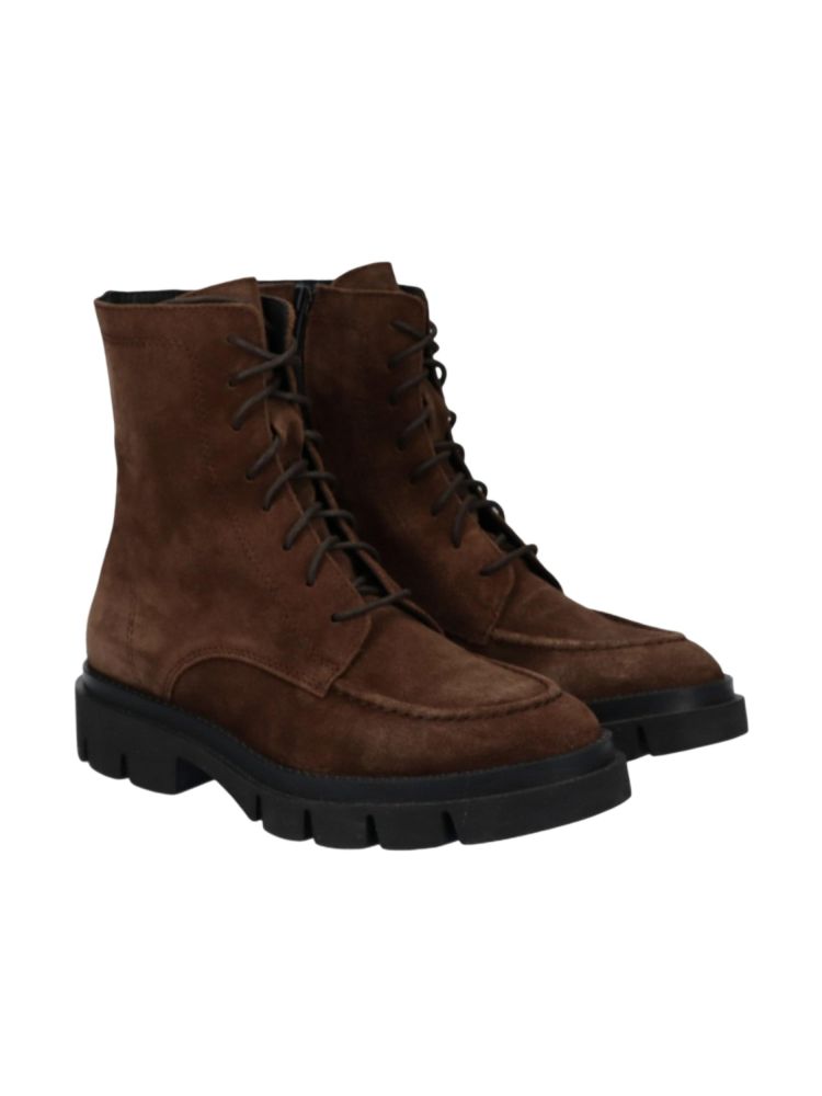 Viguera 20445  Bruin