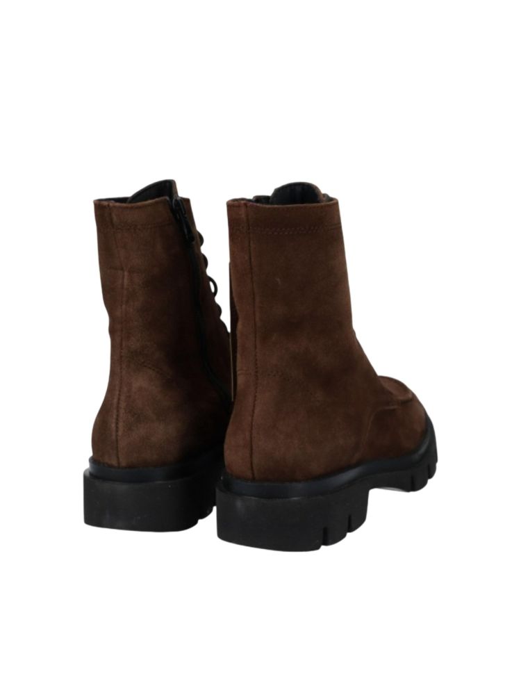 Viguera 20445  Bruin